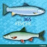 365 Fische - Antal Vida