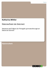 Datenschutz im Internet -  Katharina Mittler
