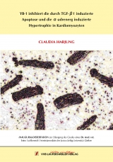 YB-1 inhibiert die durch TGF-&beta;1 induzierte Apoptose und die &alpha;-adrenerg induzierte Hypertrophie in Kardiomyozyten - Claudia Harjung