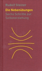 Die Nebenübungen - Steiner, Rudolf; Baydur, Ates