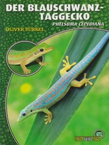 Der Blauschwanz-Taggecko - Oliver Pürkel