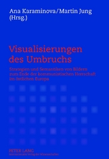 Visualisierungen des Umbruchs - 