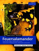 Feuersalamander - Stephan Schorn, Axel Kwet