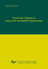 First-Order Methods in Large-Scale Semidefinite Optimization - Michael B&uuml;rgisser