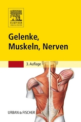 Gelenke, Muskeln, Nerven - Reinhard Eggers, Kerstin Otto, Susanne Reimann
