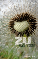 Zus&auml;tze. - Ernst Ferstl