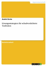 L&ouml;sungsstrategien f&uuml;r schadverdichtete Tonb&ouml;den -  Andr&eacute; Grote