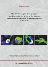 Charakterisierung der Beteiligung des Transkriptionsfaktors NF-IL6 an der Induktion zentralnerv&ouml;s kontrollierter Krankheitssymptome in der Ratte - Jelena Damm