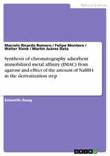 Synthesis of chromatography adsorbent immobilized metal affinity (IMAC) from agarose and effect of the amount of NaBH4 in the derivatization step - Marcelo Ricardo Romero, Felipe Montero, Walter Slenk, Mart&iacute;n Ju&aacute;rez Data