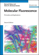 Molecular Fluorescence - Bernard Valeur, M&aacute;rio Nuno Berberan-Santos
