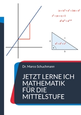 Jetzt lerne ich Mathematik für die Mittelstufe - Marco Schuchmann