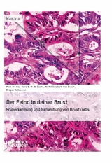 Der Feind in deiner Brust. Fr&uuml;herkennung und Behandlung von Brustkrebs - Prof. Dr. med. Hans E. W. W. Sachs, Kim Busch, Martin Smollich, Dragan Radosavac
