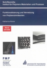 Funktionalisierung und Vernetzung von Polybenzimidazolen - Katharina Kleine