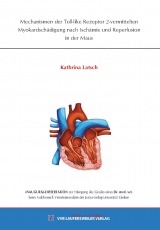 Mechanismen der Toll-like Rezeptor 2-vermittelten Myokardsch&auml;digung nach Isch&auml;mie und Reperfusion in der Maus - Kathrina Latsch