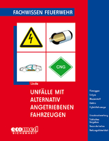 Unf&auml;lle mit alternativ angetriebenen Fahrzeugen - Christof Linde