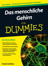 Das menschliche Gehirn f&uuml;r Dummies - Frank Amthor