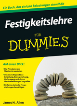 Festigkeitslehre f&uuml;r Dummies - James H. Allen