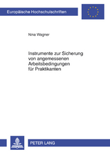Instrumente zur Sicherung von angemessenen Arbeitsbedingungen fuer Praktikanten - Nina Wagner