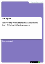 Schwebungsph&auml;nomene im Ultraschallfeld des 1 MHz Stab-Schwingquarzes -  Dirk Pigulla