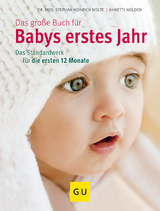 Das gro&szlig;e Buch f&uuml;r Babys erstes Jahr - Stephan Heinrich Nolte, Annette Nolden