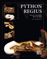 Python regius - Stefan Broghammer