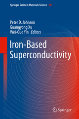 Iron-Based Superconductivity - 
