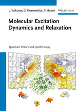 Molecular Excitation Dynamics and Relaxation - Leonas Valkunas, Darius Abramavicius, Tom&aacute;s Mancal
