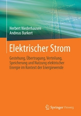 Elektrischer Strom - Herbert Niederhausen, Andreas Burkert