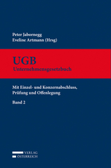 Kommentar zum UGB, Band 2 - 