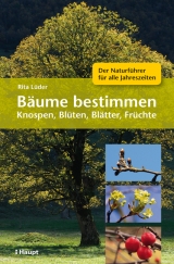 B&auml;ume bestimmen - Knospen, Bl&uuml;ten, Bl&auml;tter, Fr&uuml;chte - Rita L&uuml;der