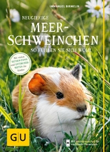 Neugierige Meerschweinchen - Immanuel Birmelin