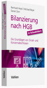 Bilanzierung nach HGB in Schaubildern - Reinhard Heyd, Michael Beyer, Daniel Zorn