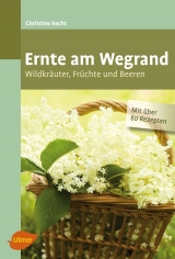 Ernte am Wegrand - Christine Recht