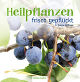 Heilpflanzen frisch gepfl&uuml;ckt - Yvonne H&ouml;flinger