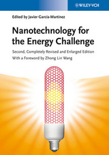 Nanotechnology for the Energy Challenge - García-Martínez, Javier