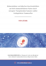 Rekonstruktion von kritischen Knochendefekten am Kiefer immundefizienter Ratten durch xenogene Transplantation humaner adulter fettabgeleiteter Stammzellen - Sven J&auml;ckel