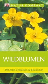 Wildblumen