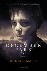 DECEMBER PARK -  Ronald Malfi