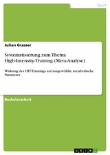 Systematisierung zum Thema High-Intensity-Training (Meta-Analyse) - Julian Grasser