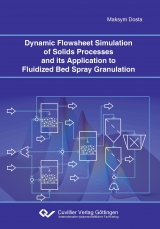 Dynamic Flowsheet Simulation of Solids Processes and its Application to Fluidized Bed Spray Granulation - Maksym Dosta