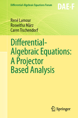 Differential-Algebraic Equations: A Projector Based Analysis - Ren&eacute; Lamour, Roswitha M&auml;rz, Caren Tischendorf