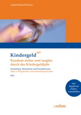 Pflegekinder und minderjährige Kinder 2013 - Klaus Lange, Reinhard Lüdecke, Ingeborg Schmerse