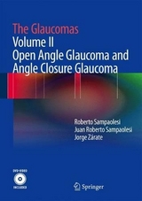 The Glaucomas - Roberto Sampaolesi, Juan Roberto Sampaolesi, Jorge Z&aacute;rate