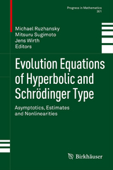 Evolution Equations of Hyperbolic and Schr&ouml;dinger Type - 