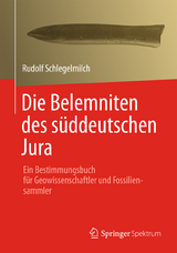 Die Belemniten des s&uuml;ddeutschen Jura - Rudolf Schlegelmilch