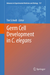 Germ Cell Development in C. elegans - 