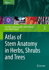 Atlas of Stem Anatomy in Herbs, Shrubs and Trees - Fritz Hans Schweingruber, Annett B&ouml;rner, Ernst-Detlef Schulze