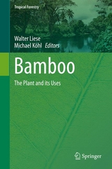 Bamboo - 