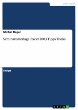 Seminarunterlage Excel 2003 Tipps Tricks -  Michel Beger