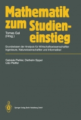 Mathematik zum Studieneinstieg - Gabriele Piehler, Diethelm Sippel, Udo Pfeiffer